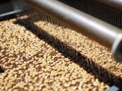 【令和7年産】【南魚沼産】コシヒカリ&nbsp;白米5kg