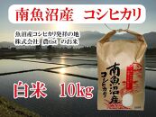 【令和7年産】【南魚沼産】コシヒカリ&nbsp;白米10kg