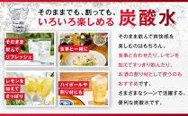 【定期便2か月】アサヒ&nbsp;炭酸水&nbsp;ウィルキンソンタンサン&nbsp;ペットボトル&nbsp;500ml&nbsp;1ケース×2か月