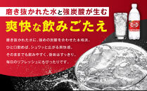 【定期便4か月】アサヒ&nbsp;炭酸水&nbsp;ウィルキンソンタンサン&nbsp;ペットボトル&nbsp;500ml&nbsp;1ケース×4か月