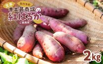 本土最南端の紅はるか（ご家庭用）2ｋｇ