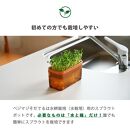 【アイボリー】ベジマジそだてる&nbsp;スプラウト栽培容器&nbsp;種付き&nbsp;水耕栽培&nbsp;おしゃれ&nbsp;家庭菜園