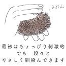 高田耕造商店 しゅろのやさしいたわし からだ用 檜柄 長