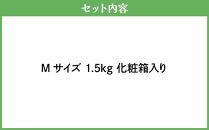 【ニセコ町産】朝どりアスパラ Mサイズ1.5kg 2024年発送
