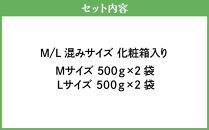 【ニセコ町産】朝どりアスパラ M／L混サイズ2kg 2024年発送