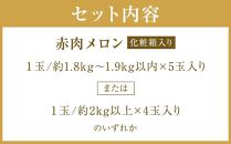 【ニセコ町産】赤肉メロン4～5玉入り　 2024年発送