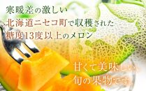 【ニセコ町産】赤肉メロン２玉  化粧箱入り 2024年発送