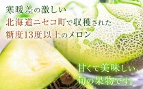 【ニセコ町産】青肉メロン２玉  化粧箱入り 2024年発送