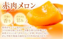 【ニセコ町産】赤肉＆青肉メロンセット２玉  化粧箱入り 2024年発送