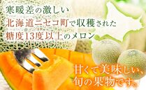 【ニセコ町産】赤肉＆青肉メロンセット２玉  化粧箱入り 2024年発送