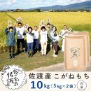 【新米】佐渡島産 こがねもち もち精米 5ｋg×2袋