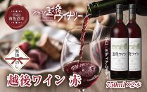 無地熨斗 越後ワイン 赤 750ml 2本セット アグリコア  越後ワイナリー  新潟県産 ぶどう100%使用  辛口 ミディアムボディ アルコール12% 国産ワイン 魚沼ワイン 送料無料 新潟県 南魚沼市