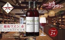 無地熨斗 越後ワイン 赤 750ml 2本セット アグリコア  越後ワイナリー  新潟県産 ぶどう100%使用  辛口 ミディアムボディ アルコール12% 国産ワイン 魚沼ワイン 送料無料 新潟県 南魚沼市