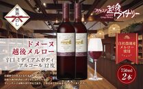 無地熨斗 ドメーヌ・越後メルロー  赤 750ml 2本セット アグリコア  越後ワイナリー  南魚沼市産メルロー 辛口 ミディアムボディ アルコール度数12% 魚沼ワイン 国産 送料無料 新潟県 南魚沼市