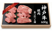 神戸牛&nbsp;焼肉&nbsp;6種盛り　600g（専用仕切り箱）　KB003
