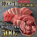 神戸牛 焼肉 5種盛り　500g（専用仕切り箱）　KB002