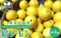 奄美大島産 島れもん 3kg＜芳醇な香りと爽やかな味の国産レモン＞