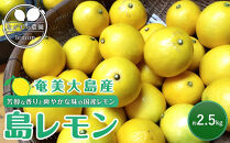 奄美大島産 島れもん 2.5kg＜芳醇な香りと爽やかな味の国産レモン＞|レモン れもん 檸檬 柑橘 フルーツ ふるーつ 果物 くだもの