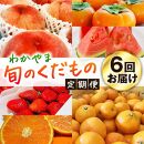 わかやま旬のくだもの定期便 全6回【Ｓ】【2・3・6・7・10・11月発送 】※北海道・沖縄・離島への配送不可 S6-e