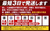 キリンビール キリン本麒麟　500ｍｌ１ケース（24本入）【横浜工場製】