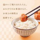 【定期便4回 2ヶ月に1回】紀州南高梅 訳あり はちみつ梅 塩分5％ 1.2kg（300g×4パック）和歌山県産 うめぼし 梅干し 梅 送料無料 ふるさと納税 はちみつ ハチミツ 減塩 つぶれ梅 梅干 訳アリ わけあり セット お取り寄せ ご当地グルメ 和歌山県 白浜町