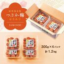 【定期便4回 2ヶ月に1回】紀州南高梅 訳あり はちみつ梅 塩分5％ 1.2kg（300g×4パック）和歌山県産 うめぼし 梅干し 梅 送料無料 ふるさと納税 はちみつ ハチミツ 減塩 つぶれ梅 梅干 訳アリ わけあり セット お取り寄せ ご当地グルメ 和歌山県 白浜町