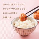 【定期便2回 2ヶ月に1回】 紀州南高梅 訳あり はちみつ梅 塩分5％ 2.4kg（300g×8パック) 和歌山県産 うめぼし 梅干し 梅 送料無料 ふるさと納税 はちみつ ハチミツ 減塩 つぶれ梅 梅干 訳アリ わけあり セット お取り寄せ ご当地グルメ 和歌山県 白浜町