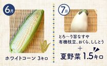 【12ヶ月定期便】野菜 くだもの 米（月替わりで毎月お届け）