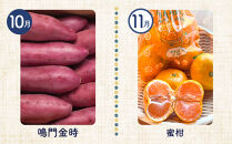 【12ヶ月定期便】野菜&nbsp;くだもの&nbsp;米（月替わりで毎月お届け）【野菜&nbsp;やさい&nbsp;フルーツ&nbsp;果物&nbsp;くだもの&nbsp;お米&nbsp;こめ&nbsp;白米&nbsp;&nbsp;食品&nbsp;人気&nbsp;おすすめ】