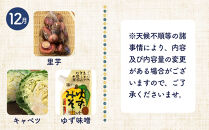 【12ヶ月定期便】野菜&nbsp;くだもの&nbsp;米（月替わりで毎月お届け）【野菜&nbsp;やさい&nbsp;フルーツ&nbsp;果物&nbsp;くだもの&nbsp;お米&nbsp;こめ&nbsp;白米&nbsp;&nbsp;食品&nbsp;人気&nbsp;おすすめ】