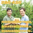 いなみの里梅園　紀州南高梅　はちみつ梅10kg　塩分約8％【農林水産大臣賞受賞】印南町　