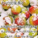 いなみの里梅園　こんぶ風味梅干10kg　塩分約8%【和歌山産】紀州南高梅　印南町　