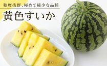 【夏季限定】飯塚農場産の八色原すいか　大玉2玉（赤1玉・黄1玉）セット