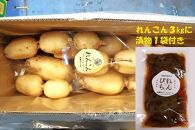 神崎町ふるさと れんこん　A級品（3kg）＆ れんぴら（れんこんのしょうゆ漬）200ｇ×1袋