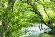 【令和7年産】「貝瀬農園米」農薬5割減栽培　南魚沼塩沢産コシヒカリ　精米10kg（5kg×2）