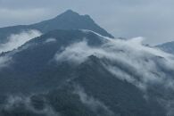 【令和7年産】【定期便】「貝瀬農園米」農薬5割減栽培　南魚沼塩沢産コシヒカリ　精米5kg×全6回