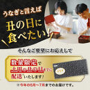 数量限定【2026年土用丑の日までにお届け】鹿児島県産うなぎ長蒲焼2尾