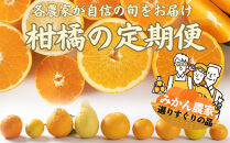 みかん定期便&nbsp;全10回&nbsp;温州みかん&nbsp;蜜柑&nbsp;ミカン&nbsp;柑橘&nbsp;かんきつ&nbsp;定期便&nbsp;和歌山県&nbsp;海南市&nbsp;農園直送&nbsp;&nbsp;早生&nbsp;ゆら&nbsp;完熟&nbsp;蔵出し&nbsp;津之輝&nbsp;清見オレンジ&nbsp;不知火&nbsp;みかんジュース&nbsp;果物&nbsp;フルーツ&nbsp;国産&nbsp;産地直送