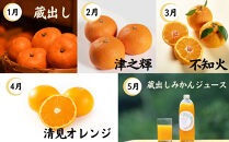 みかん定期便&nbsp;全10回&nbsp;温州みかん&nbsp;蜜柑&nbsp;ミカン&nbsp;柑橘&nbsp;かんきつ&nbsp;定期便&nbsp;和歌山県&nbsp;海南市&nbsp;農園直送&nbsp;&nbsp;早生&nbsp;ゆら&nbsp;完熟&nbsp;蔵出し&nbsp;津之輝&nbsp;清見オレンジ&nbsp;不知火&nbsp;みかんジュース&nbsp;果物&nbsp;フルーツ&nbsp;国産&nbsp;産地直送