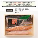 はまゆうの鰆のたたき 850g (白子・真子・味ぽん付き)