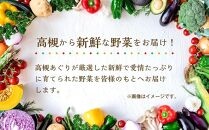 【数量限定2月】厳選！旬を味わう有機野菜詰合せ（10～15種）＆農家さん自家製ゆず果汁 200ml×1本セット＜2024年2月発送＞