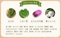 【数量限定2月】厳選！旬を味わう有機野菜詰合せ（10～15種）＆農家さん自家製ゆず果汁 200ml×1本セット＜2024年2月発送＞