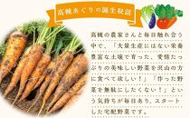 【数量限定2月】厳選！旬を味わう有機野菜詰合せ（10～15種）＆農家さん自家製ゆず果汁 200ml×1本セット＜2024年2月発送＞