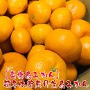 越冬本貯蔵丹生系みかん 5kg【先行予約】【高糖系みかん】