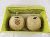 【2026年先行予約】JA金沢市&nbsp;アールスメロン&nbsp;2玉&nbsp;|&nbsp;メロン&nbsp;めろん&nbsp;果物&nbsp;フルーツ&nbsp;石川&nbsp;金沢&nbsp;加賀百万石&nbsp;加賀&nbsp;百万石&nbsp;北陸&nbsp;北陸復興&nbsp;北陸支援&nbsp;果物類&nbsp;メロン・スイカ&nbsp;メロン青肉&nbsp;フルーツ&nbsp;くだもの&nbsp;食品&nbsp;石川&nbsp;アールスメロン&nbsp;金沢市&nbsp;甘い&nbsp;ジューシー&nbsp;香り豊か&nbsp;高級&nbsp;贈り物&nbsp;ギフト&nbsp;夏季限定&nbsp;新鮮&nbsp;美味しい&nbsp;産地直送&nbsp;高品質