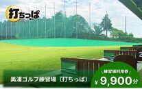 UP14 美浦ゴルフ練習場（打ちっぱ）練習場利用券 9,900円分 ゴルフ練習場 打ちっぱなし 80球×13枚分1040球