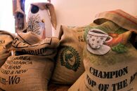 動物を守るコーヒー豆セット 3種（各200g×3）  石川 金沢 加賀百万石 加賀 百万石 北陸 北陸復興 北陸支援
