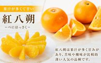 【先行予約】しまの八朔セット約8kg（Mサイズ程度　約30個　紅八朔と八朔）＜2025年1月下旬から発送＞