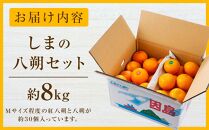 【先行予約】しまの八朔セット約8kg（Mサイズ程度　約30個　紅八朔と八朔）＜2025年1月下旬から発送＞