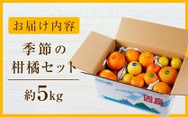 【先行予約】季節の柑橘セット約5kg ＜2025年1月下旬から発送＞